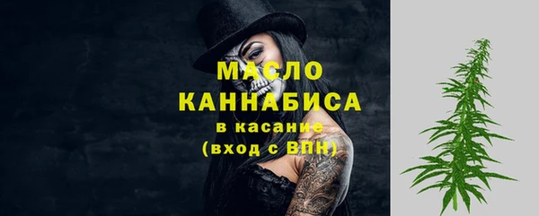 молекула духа Богданович