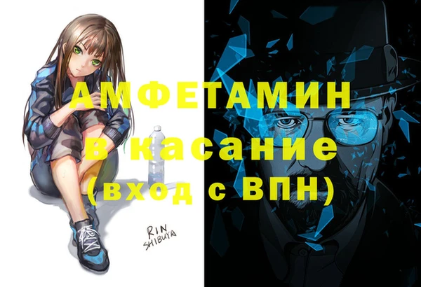 молекула духа Богданович
