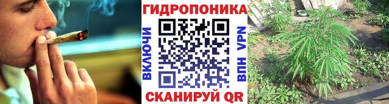 Бошки Шишки SATIVA & INDICA  где купить наркоту  Павловск 